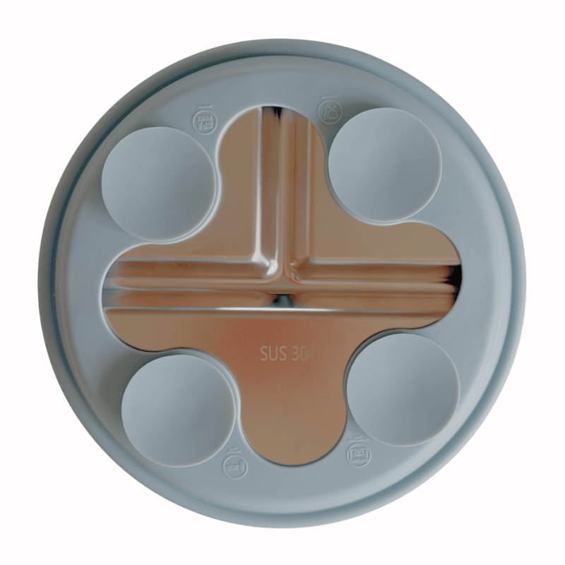 Kids Stainless Steel Divided Plate with Lid