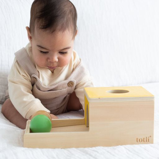 Totli Ball Drop - Object Permanence Box